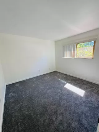 Photo #3: 226086368 Listing