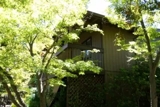 Photo #1: 226087273 Listing