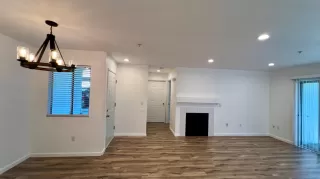 Photo #3: 226087452 Listing 
