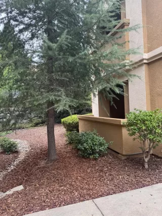 Photo #3: 226088452 Listing