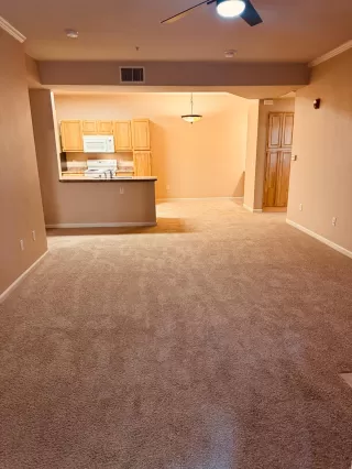 Photo #5: 226088452 Listing