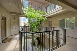 Photo #1: 226088482 Listing