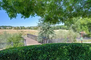 Photo #3: 226089087 Listing