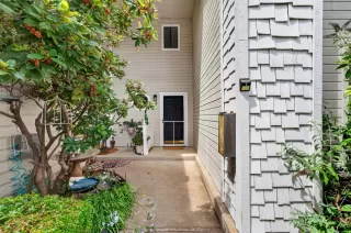 Photo #1: 226089089 Listing