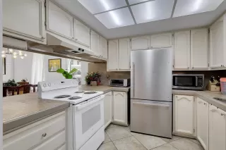 Photo #3: 226089553 Listing