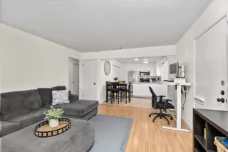 Photo #5: 226089957 Listing