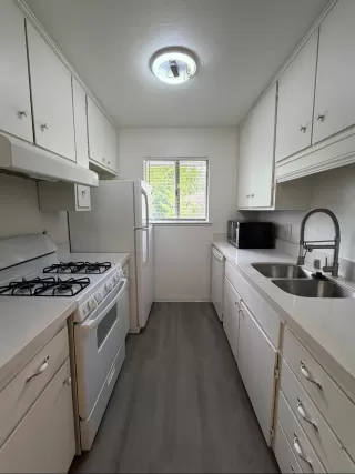 Photo #1: 226091096 Listing