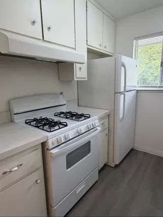 Photo #2: 226091096 Listing