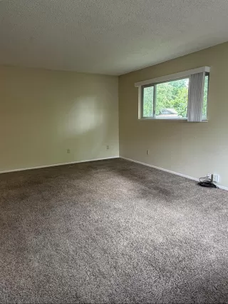 Photo #5: 226091096 Listing