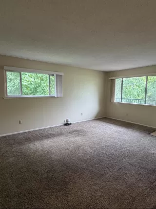 Photo #6: 226091096 Listing