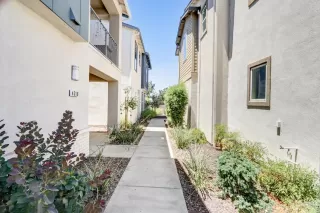 Photo #1: 226091810 Listing