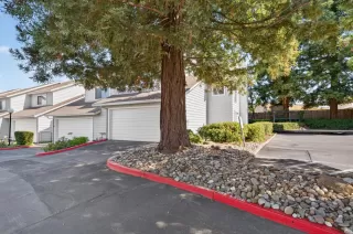 Photo #6: 226092573 Listing 