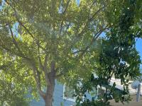 More Details about MLS # 221049907 : 6130 SHADOW LANE