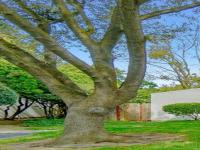 More Details about MLS # 222027824 : 3215 BERMUDA AVENUE #8