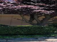 More Details about MLS # 222075001 : 7420 SILVER BIRCH PLACE