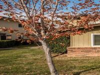 More Details about MLS # 222144528 : 4431 PALM AVENUE #1