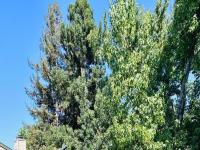 Primary Photo for MLS#: 223095182